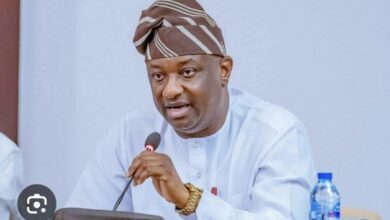 Minister Appeals For Understanding Following Owerri Airport Closure